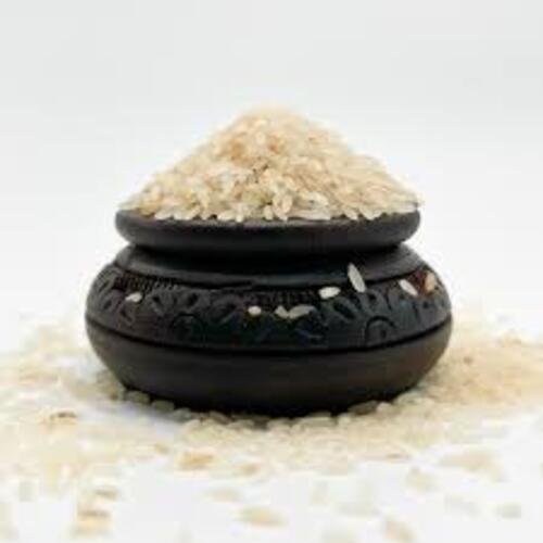 Sivan Samba - Image 2